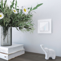 Цена на Рамка Werkel W0011105