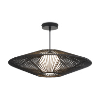 Фото Подвесной светильник Freya FR5405PL-01B1