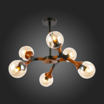 Цена на Люстра на штанге Evoluce SLE109402-06