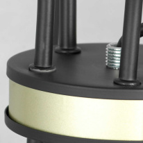 Цена на Подвесная люстра Lussole LSP-8198