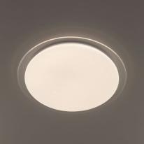 Купить с доставкой по Москве и России Накладной светильник Citilux CL734680G