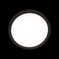 Купить с доставкой по Москве и России Накладной светильник LOFT IT 10227/24 Black