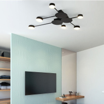 Купить с доставкой по Москве и России Накладной светильник ImperiumLoft 177912-26