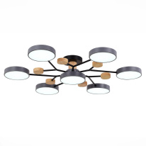 Цена на Люстра на штанге Evoluce SLE6006-702-07