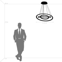 Купить с доставкой по Москве и России Подвесной светильник Lightstar 748142