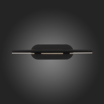 Светильник для картин ST-Luce SL1598.041.01 в интернет магазине Гет Лайт