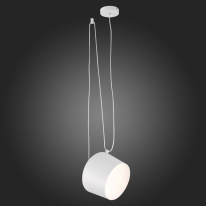 Цена на Подвесной светильник Evoluce SLE120653-01