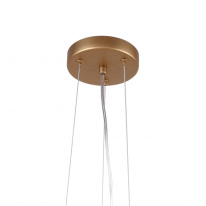 Купить Подвесная люстра Favourite 2515-10P