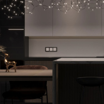 Купить Выключатель Werkel W4513001