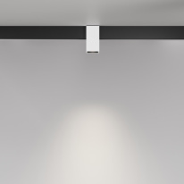 Светильник на шине Maytoni Technical TR121-2-7W4K-W Цена на Светильник на шине Maytoni Technical TR121-2-7W4K-W