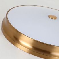 Купить с доставкой по Москве и России Накладной светильник Favourite 2375-5C