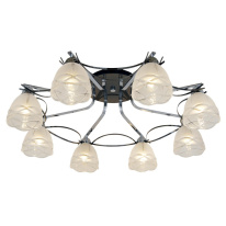 Фото Накладная люстра Citilux CL147181