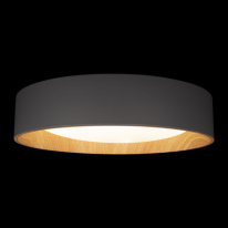 Цена на Накладной светильник LOFT IT 10202 Grey