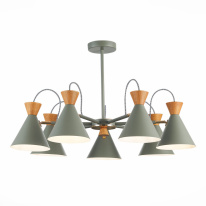 Фото Люстра на штанге Evoluce SLE125112-07