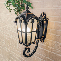 Купить с доставкой по Москве и России Светильник настенный Elektrostandard Mira U черное золото