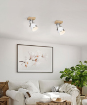 Цена на Спот EGLO 43921