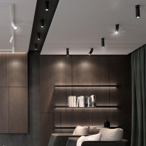 Цена на Спот Novotech 370869