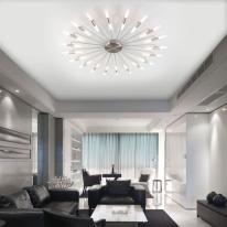 Купить Накладная люстра Bogate's 349 Smart (553)