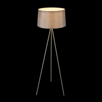 Купить Торшер Freya FR5152-FL-01-GR