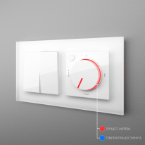 Купить с доставкой по Москве и России Терморегулятор Werkel W1151101