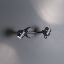 Купить с доставкой по Москве и России Спот Citilux CL525521