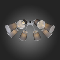 Цена на Накладная люстра Evoluce SLE103002-08