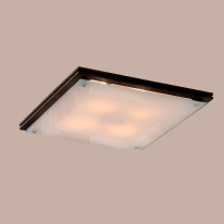 Купить Накладной светильник Citilux CL938541