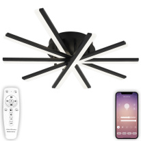 Фото Накладная люстра Natali Kovaltseva LED LAMPS 81174