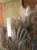 Купить Садово-парковый светильник LD-Lighting LD-RD002