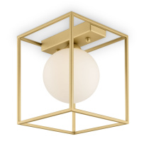 Накладной светильник Freya FR5113CL-01G Купить Накладной светильник Freya FR5113CL-01G