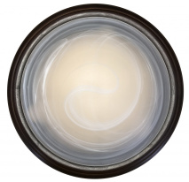 Фото Накладной светильник TOPLIGHT TL1129-1Y