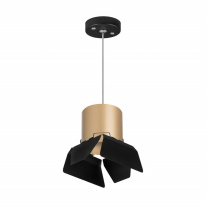 Фото Подвесной светильник Lightstar RP3490487