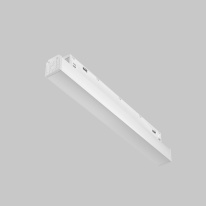 Купить с доставкой по Москве и России Драйвер Maytoni Technical TRX034DR4-100W