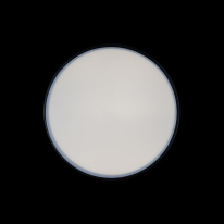 Цена на Накладной светильник LOFT IT 10002/12 Black