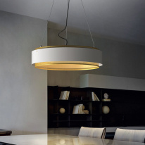 Купить Подвесной светильник ImperiumLoft 189560-26