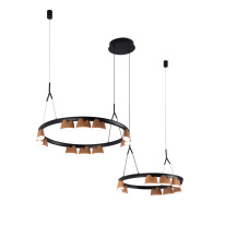 Фото Подвесная люстра Favourite 4266-21P