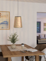 Купить с доставкой по Москве и России Подвесной светильник EGLO 390292