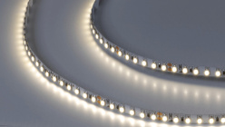 Фото Лента SWG SWG3120-24-9.6-NW-M