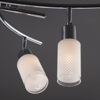 Купить с доставкой по Москве и России Спот Eurosvet 20030/6 хром