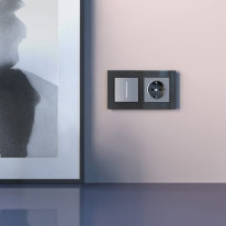 Цена на Диммеры Werkel W3443106