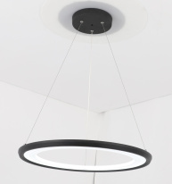 Подвесной светильник Zortes ZRS.33122.40 Цена на Подвесной светильник Zortes ZRS.33122.40