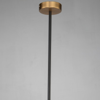 Цена на Подвесной светильник Favourite 2624-1P