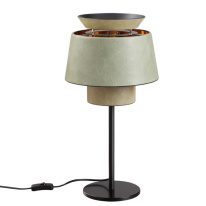 Фото Настольная лампа Odeon Light 4992/1TA