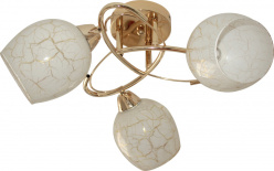 Фото Накладная люстра TOPLIGHT TL7440X-03FG