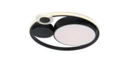 Фото Накладной светильник ARTE Lamp A2690PL-1BK