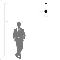 Цена на Подвесной светильник Lightstar 803113