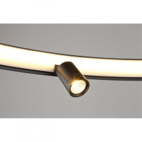 Купить с доставкой по Москве и России Подвесная люстра APLOYT APL.041.13.75