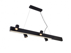 Купить с доставкой по Москве и России Линейный светильник Vele Luce VL10142P24