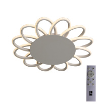 Фото Накладной светильник ST-Luce SL828.502.12