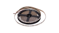 Купить Лента SWG SWG3120-24-9.6-WW-66-M